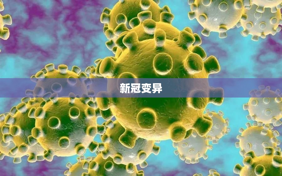 新冠变异/新冠变异毒株2026