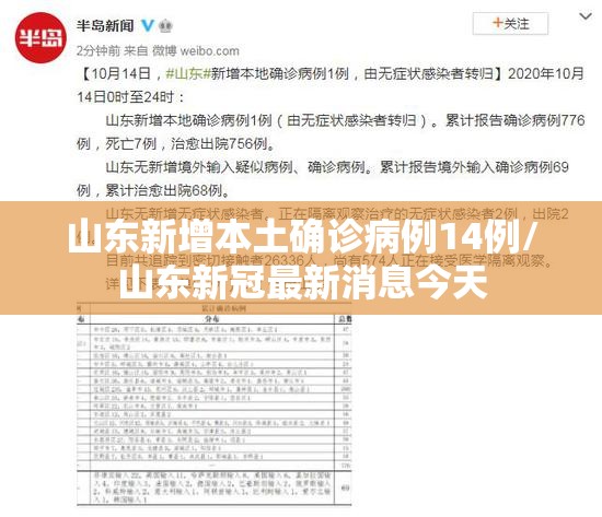 山东新增本土确诊病例14例/山东新冠最新消息今天 山东新增本土确诊病例14例/山东新冠最新消息今天