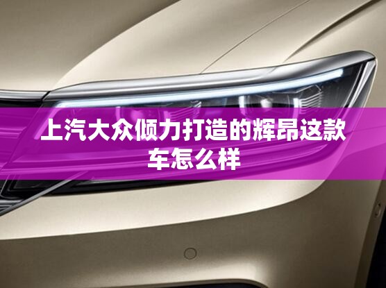 上汽大众倾力打造的辉昂这款车怎么样