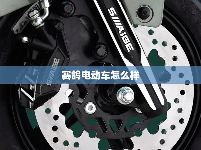 赛鸽电动车怎么样/赛鸽电动车怎么样看型号