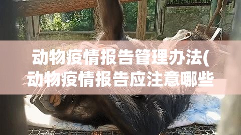 动物疫情报告管理办法(动物疫情报告应注意哪些问题)
