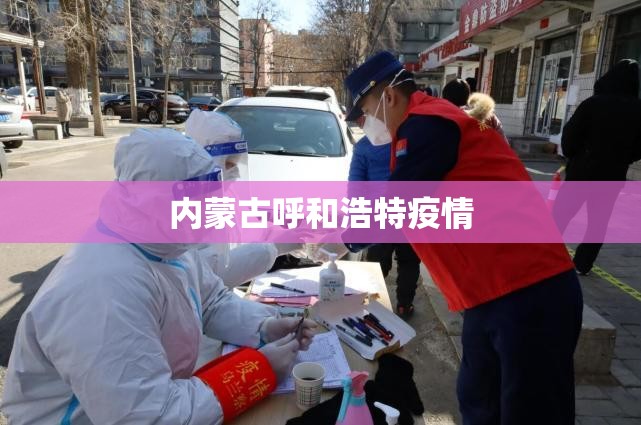 内蒙古呼和浩特疫情(内蒙古呼和浩特市疫情监测)