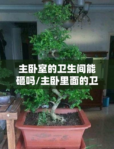 主卧室的卫生间能砸吗/主卧里面的卫生间可以改成什么 主卧室的卫生间能砸吗/主卧里面的卫生间可以改成什么