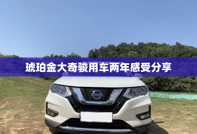 琥珀金大奇骏用车两年感受分享