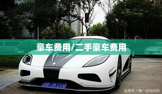 豪车费用/二手豪车费用 豪车费用/二手豪车费用