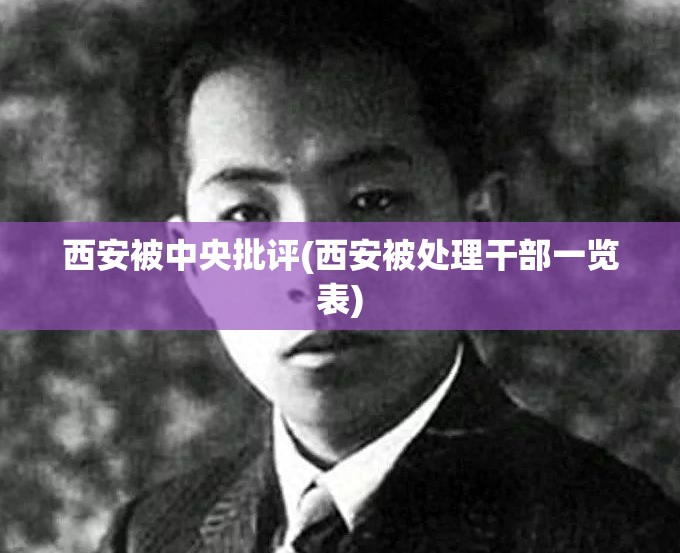 西安被中央批评(西安被处理干部一览表)