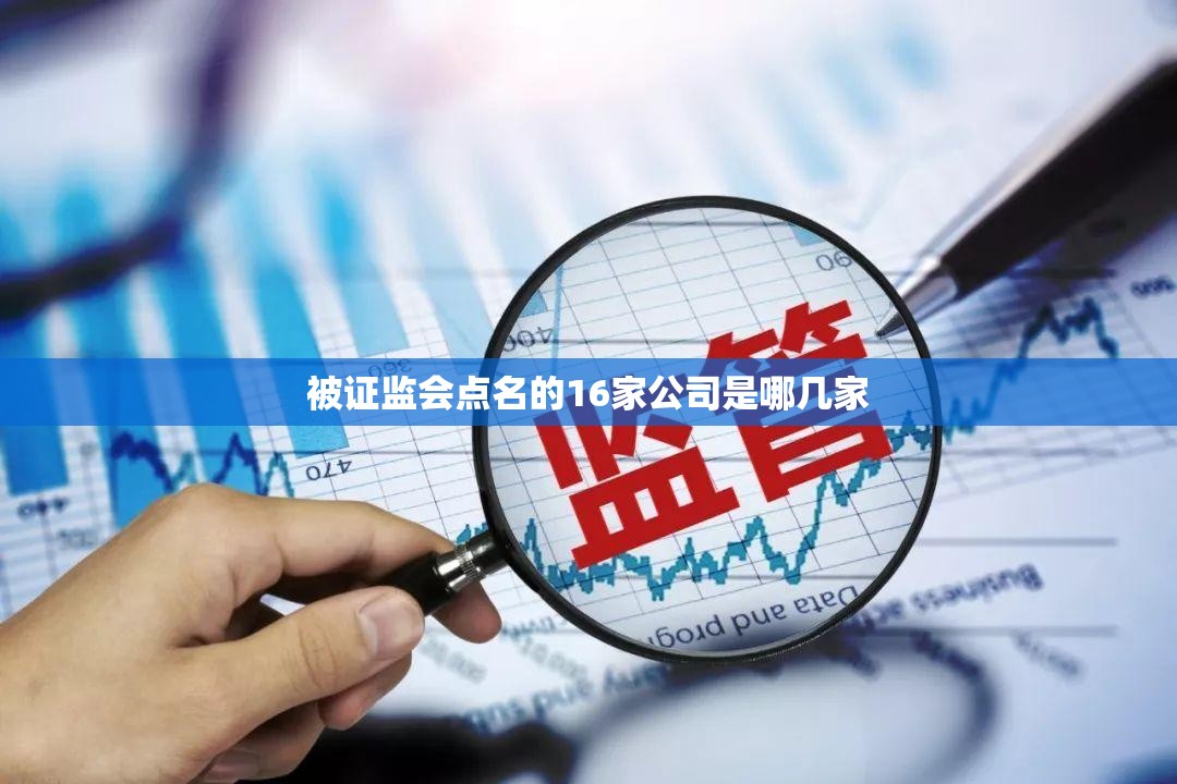 被证监会点名的16家公司是哪几家 被证监会点名的16家公司是哪几家