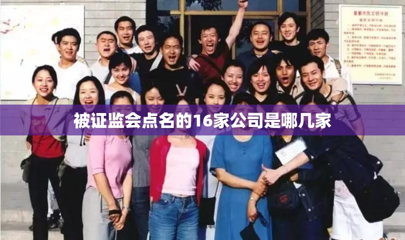 被证监会点名的16家公司是哪几家 被证监会点名的16家公司是哪几家