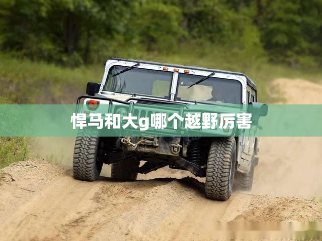 悍马和大g哪个越野厉害 悍马和大g哪个越野厉害