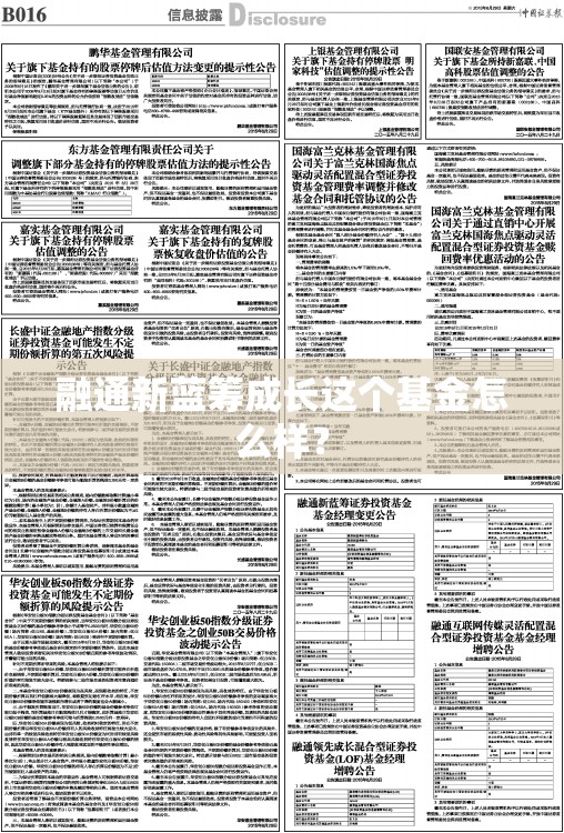 融通新蓝筹成长这个基金怎么样？