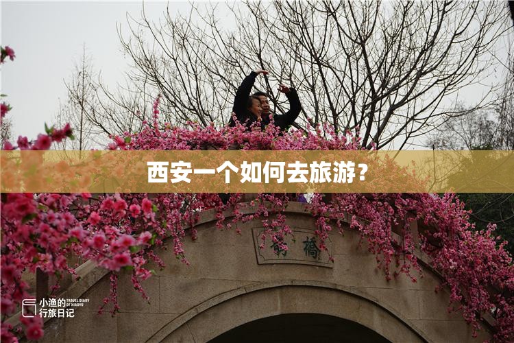 西安一个如何去旅游? 西安一个如何去旅游?