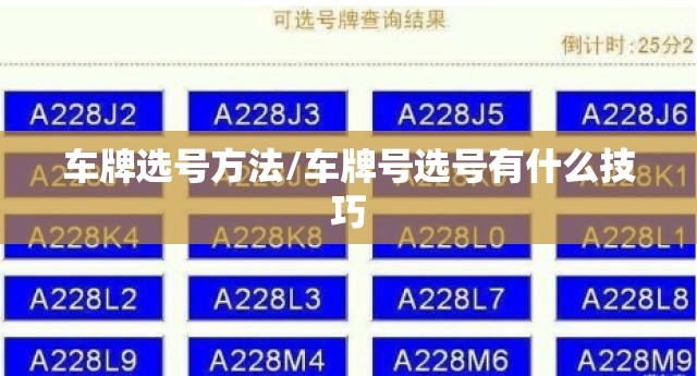 车牌选号方法/车牌号选号有什么技巧