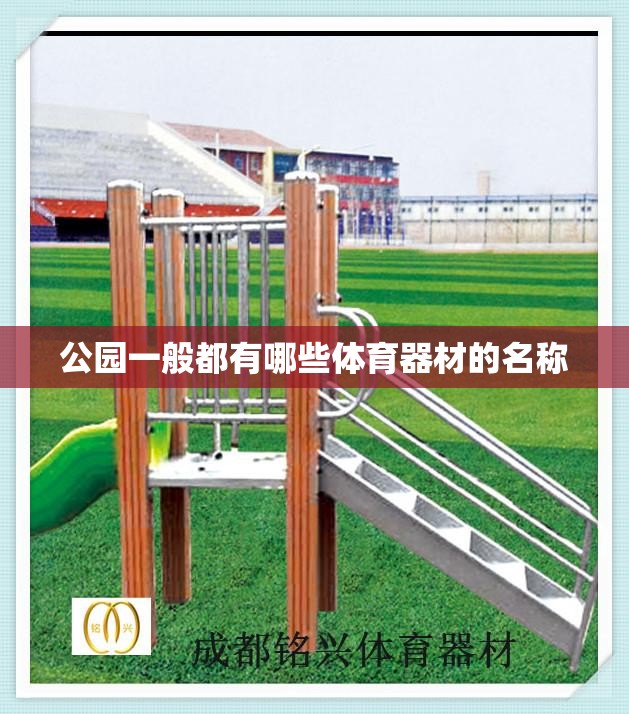 公园一般都有哪些体育器材的名称 公园一般都有哪些体育器材的名称