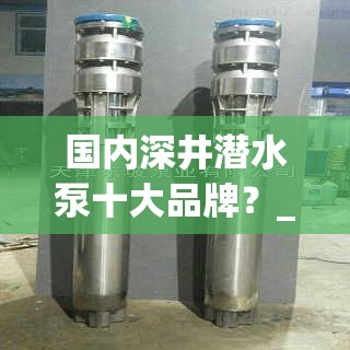 国内深井潜水泵十大品牌?_1 国内深井潜水泵十大品牌?_1