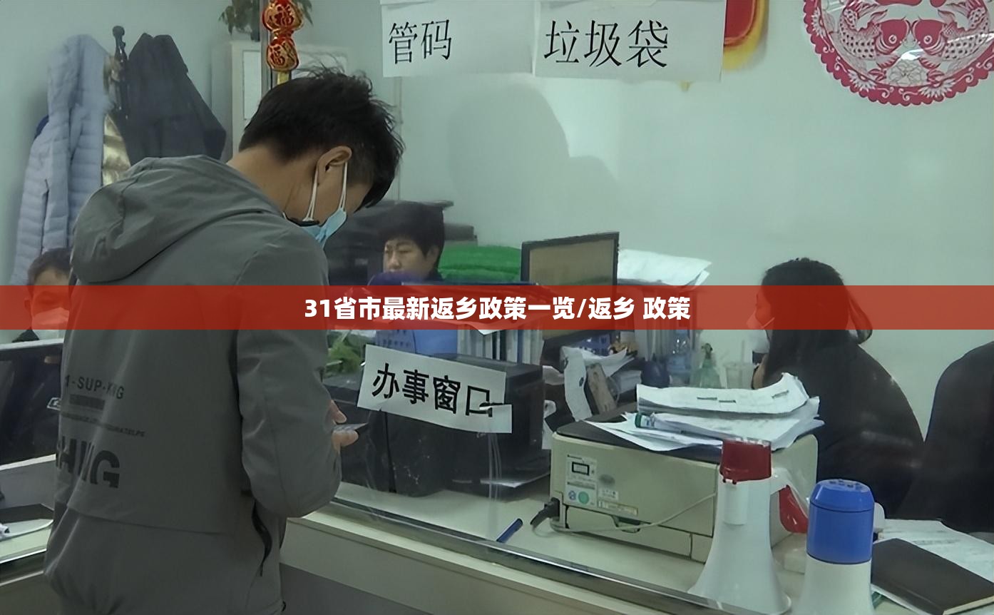 31省市最新返乡政策一览/返乡 政策 31省市最新返乡政策一览/返乡 政策