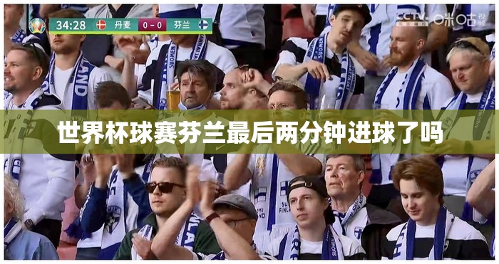 世界杯球赛芬兰最后两分钟进球了吗 世界杯球赛芬兰最后两分钟进球了吗