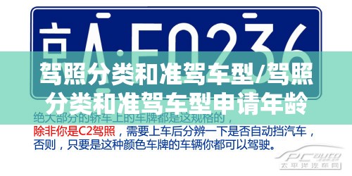 驾照分类和准驾车型/驾照分类和准驾车型申请年龄