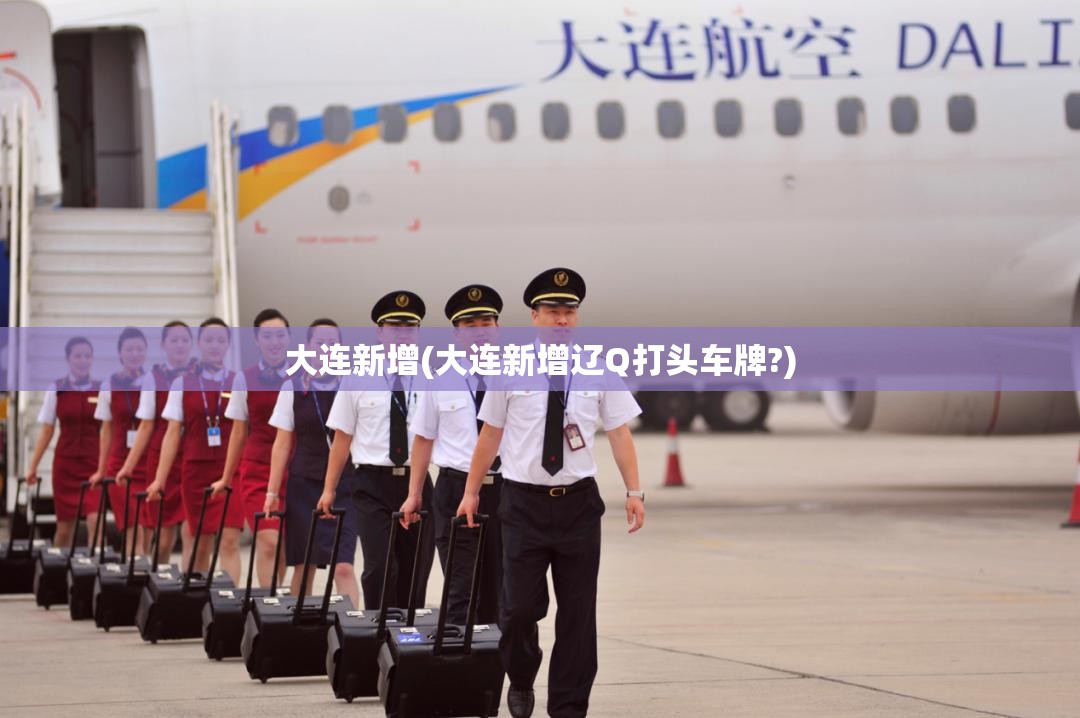 大连新增(大连新增辽Q打头车牌?) 大连新增(大连新增辽Q打头车牌?)