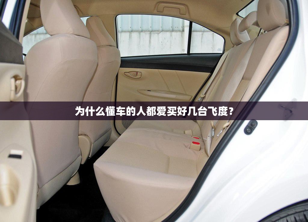 为什么懂车的人都爱买好几台飞度? 为什么懂车的人都爱买好几台飞度?