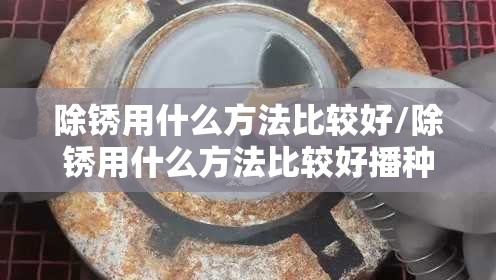 除锈用什么方法比较好/除锈用什么方法比较好播种机套管 除锈用什么方法比较好/除锈用什么方法比较好播种机套管