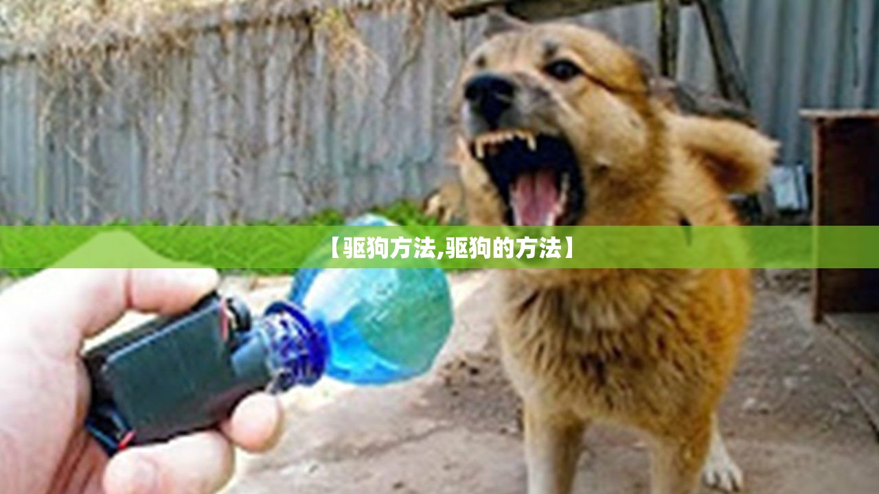 【驱狗方法,驱狗的方法】 【驱狗方法,驱狗的方法】