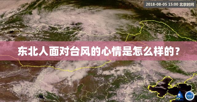 东北人面对台风的心情是怎么样的? 东北人面对台风的心情是怎么样的?