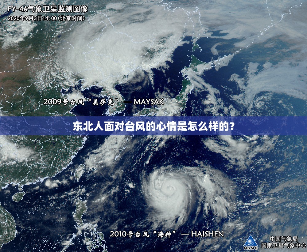 东北人面对台风的心情是怎么样的? 东北人面对台风的心情是怎么样的?