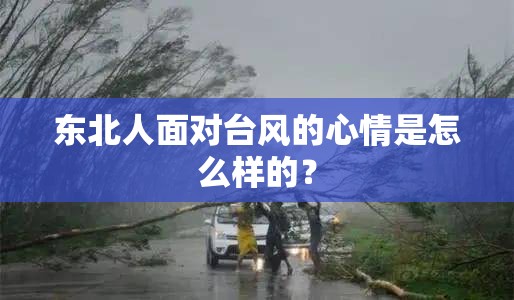 东北人面对台风的心情是怎么样的? 东北人面对台风的心情是怎么样的?