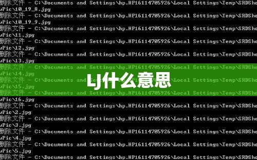 LJ什么意思