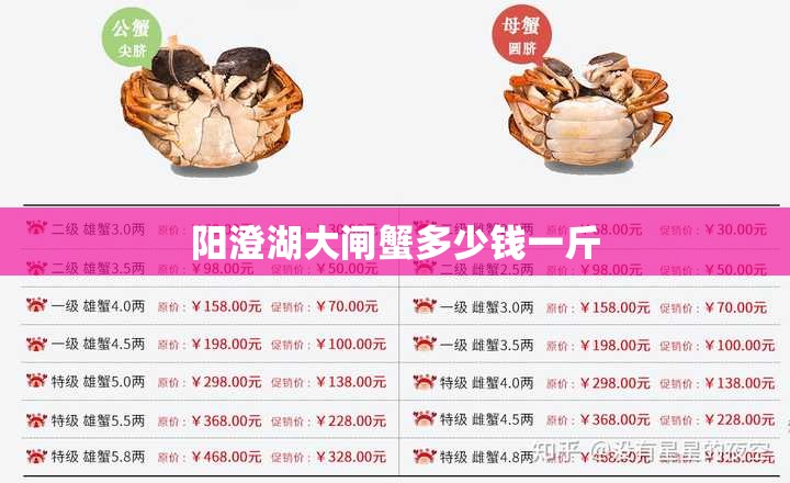 阳澄湖大闸蟹多少钱一斤