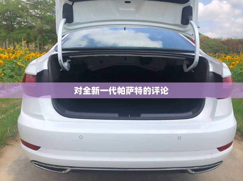 对全新一代帕萨特的评论 对全新一代帕萨特的评论