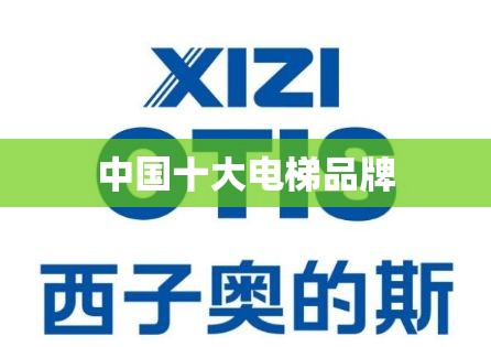 中国十大电梯品牌 中国十大电梯品牌