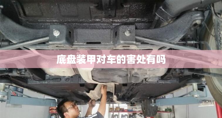 底盘装甲对车的害处有吗