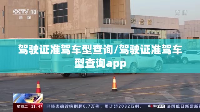 驾驶证准驾车型查询/驾驶证准驾车型查询app