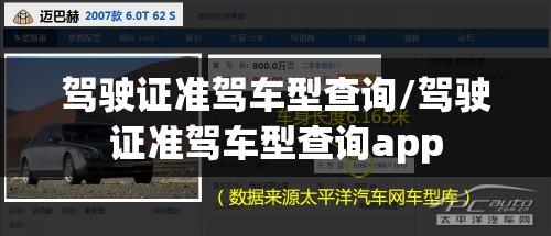 驾驶证准驾车型查询/驾驶证准驾车型查询app