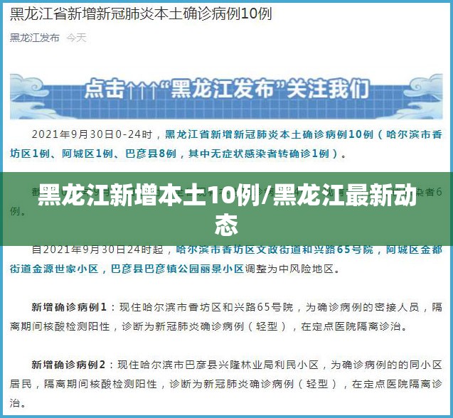 黑龙江新增本土10例/黑龙江最新动态 黑龙江新增本土10例/黑龙江最新动态