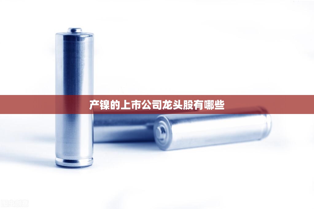 产镍的上市公司龙头股有哪些