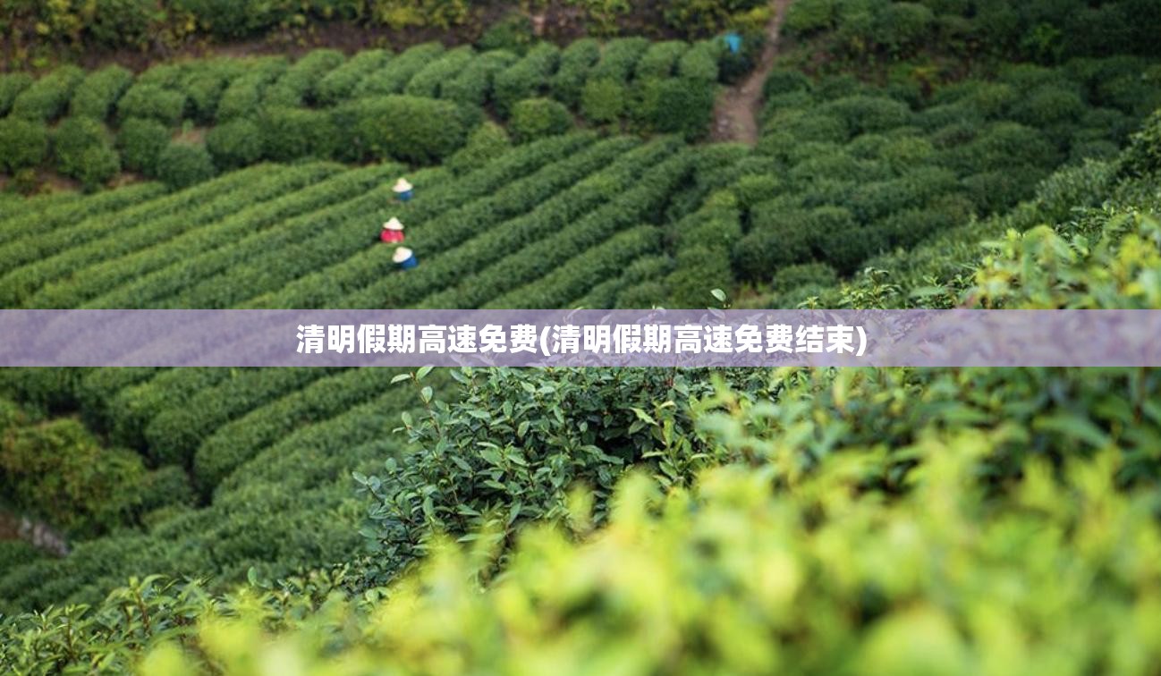 清明假期高速免费(清明假期高速免费结束)