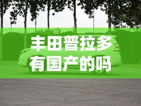 丰田普拉多有国产的吗 丰田普拉多有国产的吗