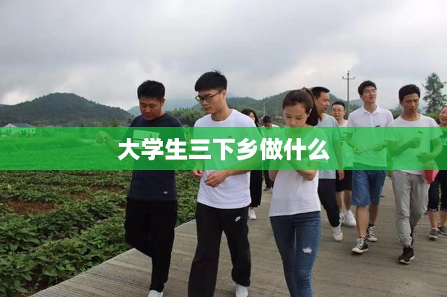 大学生三下乡做什么/大学生三下乡值不值得去 大学生三下乡做什么/大学生三下乡值不值得去