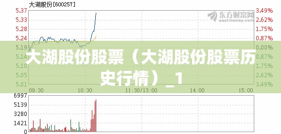 大湖股份股票(大湖股份股票历史行情)_1 大湖股份股票(大湖股份股票历史行情)_1
