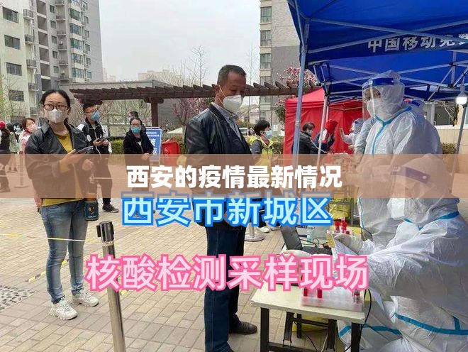 【西安的疫情最新情况,西安 疫情】 【西安的疫情最新情况,西安 疫情】