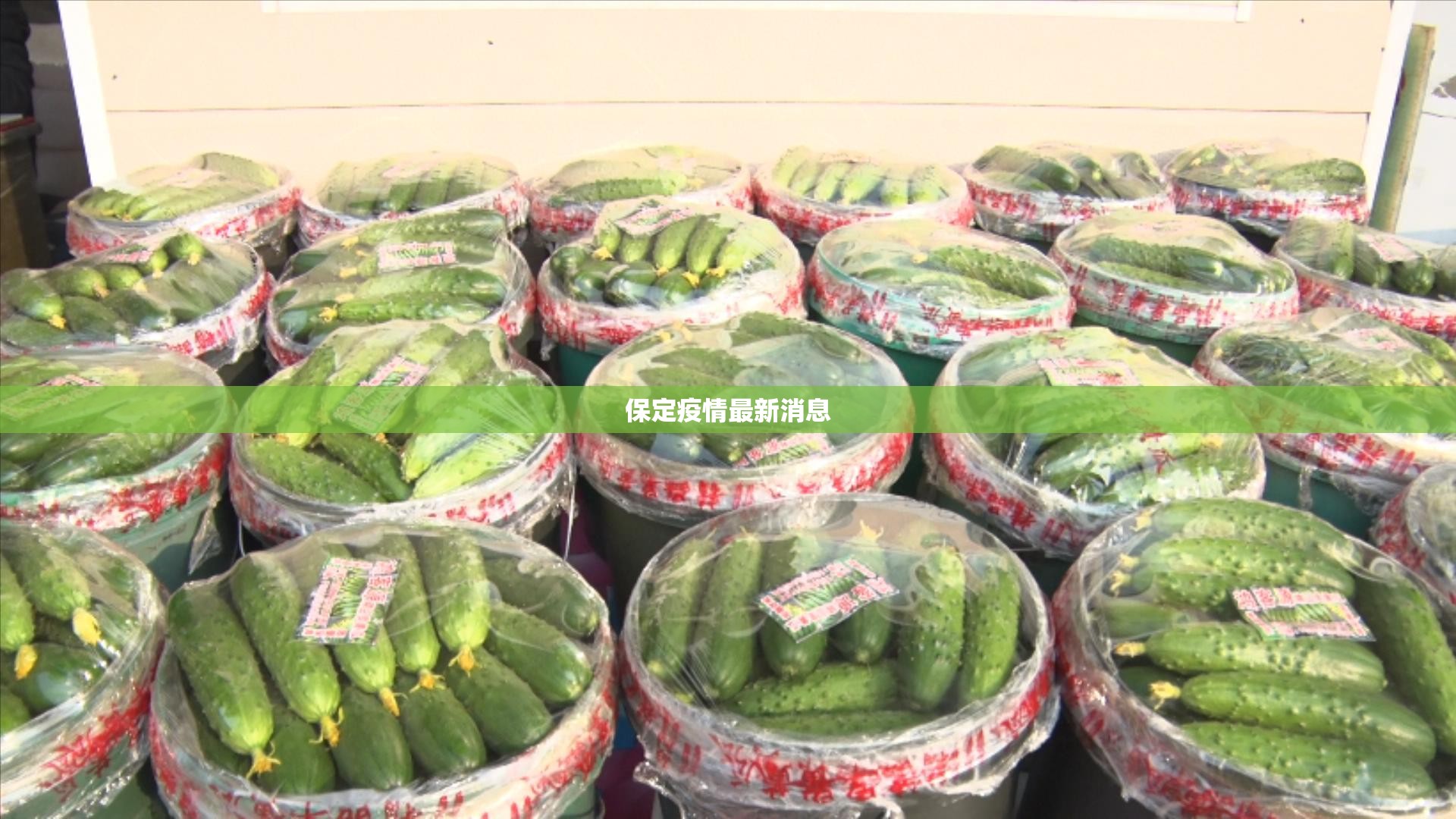 保定疫情最新消息/保定市9月最新消息 保定疫情最新消息/保定市9月最新消息