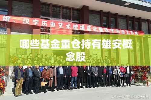 哪些基金重仓持有雄安概念股 哪些基金重仓持有雄安概念股