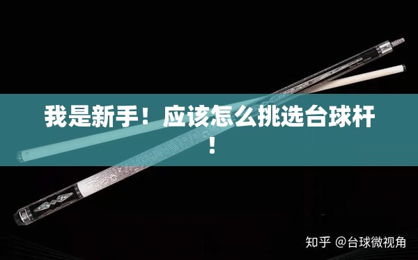 我是新手!应该怎么挑选台球杆! 我是新手!应该怎么挑选台球杆!