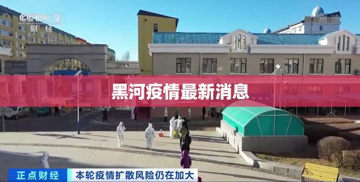 黑河疫情最新消息(黑河市最新发布的消息)