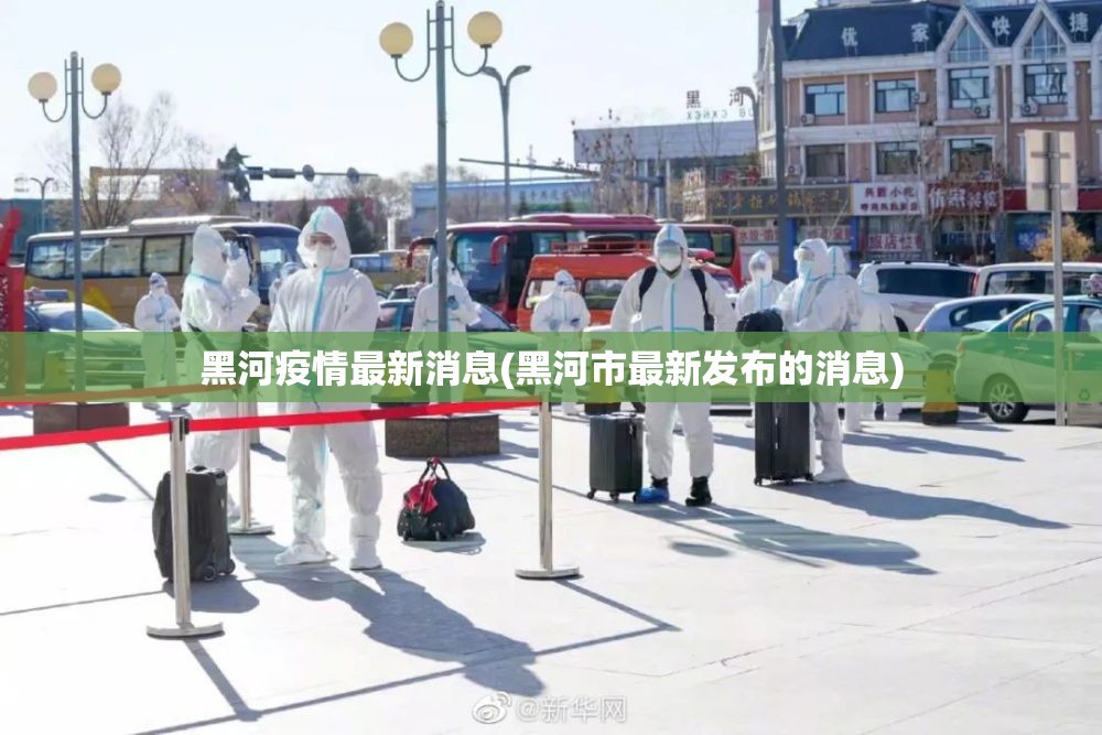 黑河疫情最新消息(黑河市最新发布的消息)