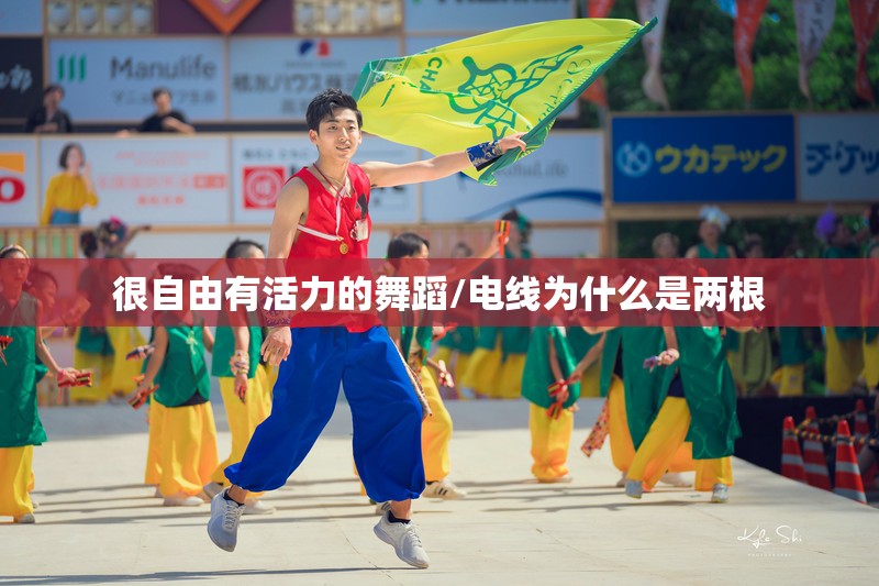 很自由有活力的舞蹈/电线为什么是两根 很自由有活力的舞蹈/电线为什么是两根