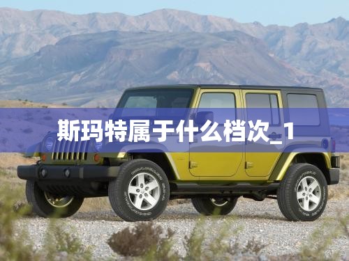 斯玛特属于什么档次_1 斯玛特属于什么档次_1