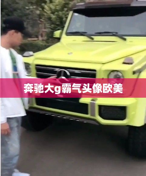 奔驰大g霸气头像欧美 奔驰大g霸气头像欧美